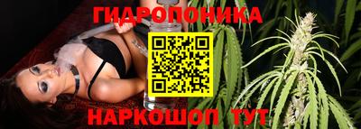 спиды Пугачёв